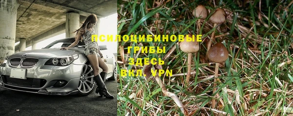 гидропоника Каменск-Шахтинский
