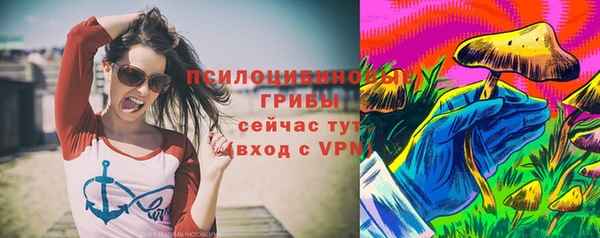 гидропоника Каменск-Шахтинский