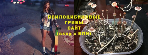 гидропоника Каменск-Шахтинский