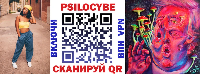 Купить закладки Вяземский Галлюциногенные грибы мицелий